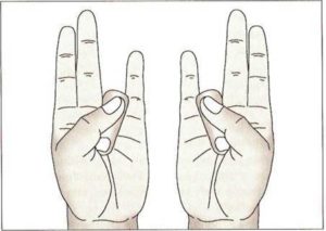 Agni Mudra - Mudra Ognia