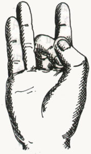 Shunya Mudra - Mudra Nieba