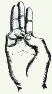 Varun Mudra - Mudra Wody