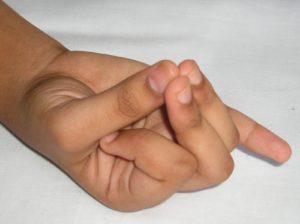 Apanu Vaya Mudra - Mudra Serca