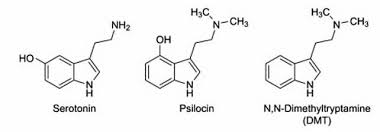 Serotonina, Psilocyna, Psylocybina, DMT